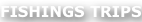 shapeimage_49_link_0
