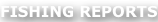 shapeimage_24_link_0